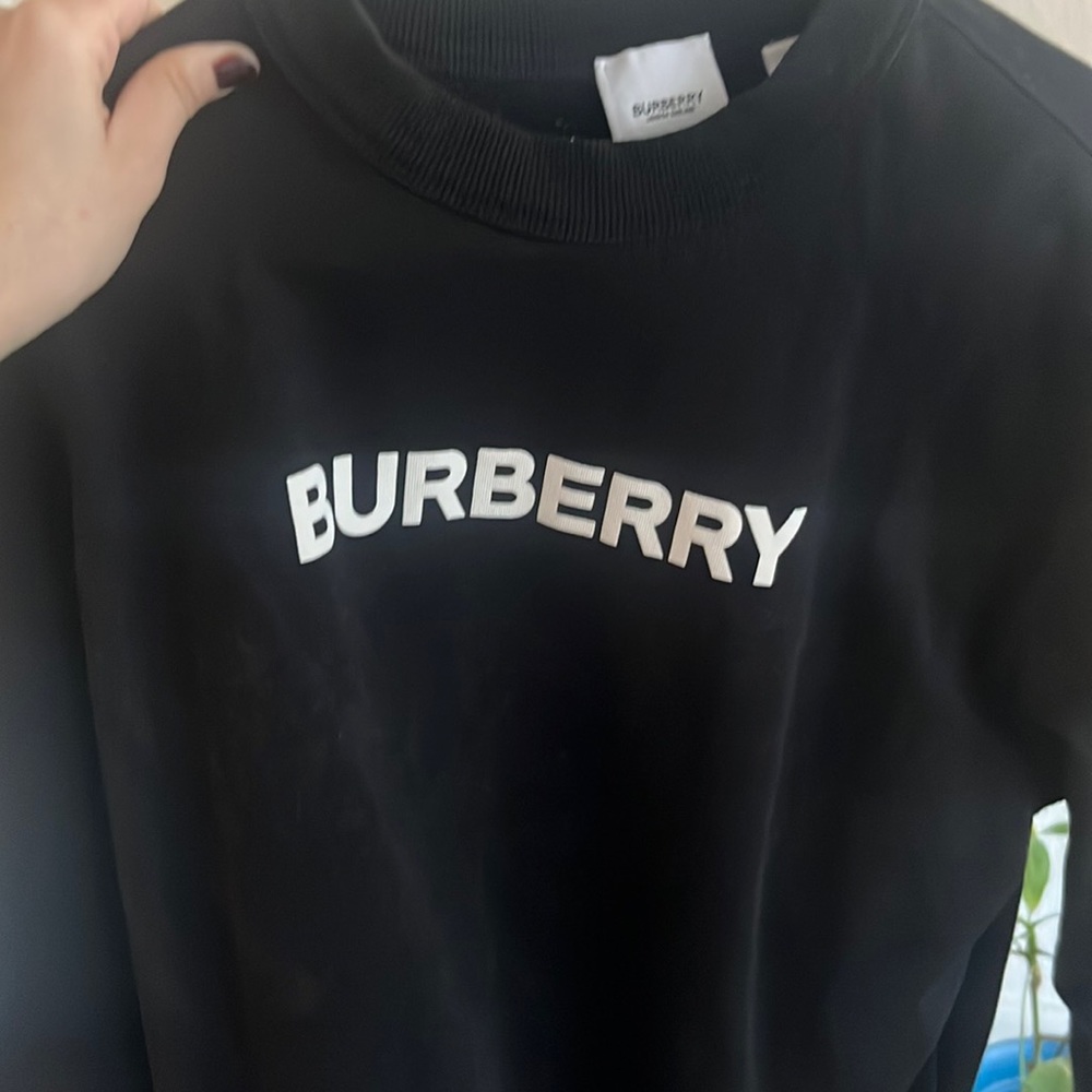 Burberry original sweatshirt for men/women.